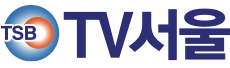 TV서울